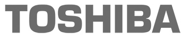 TOSHIBA Logo Chico